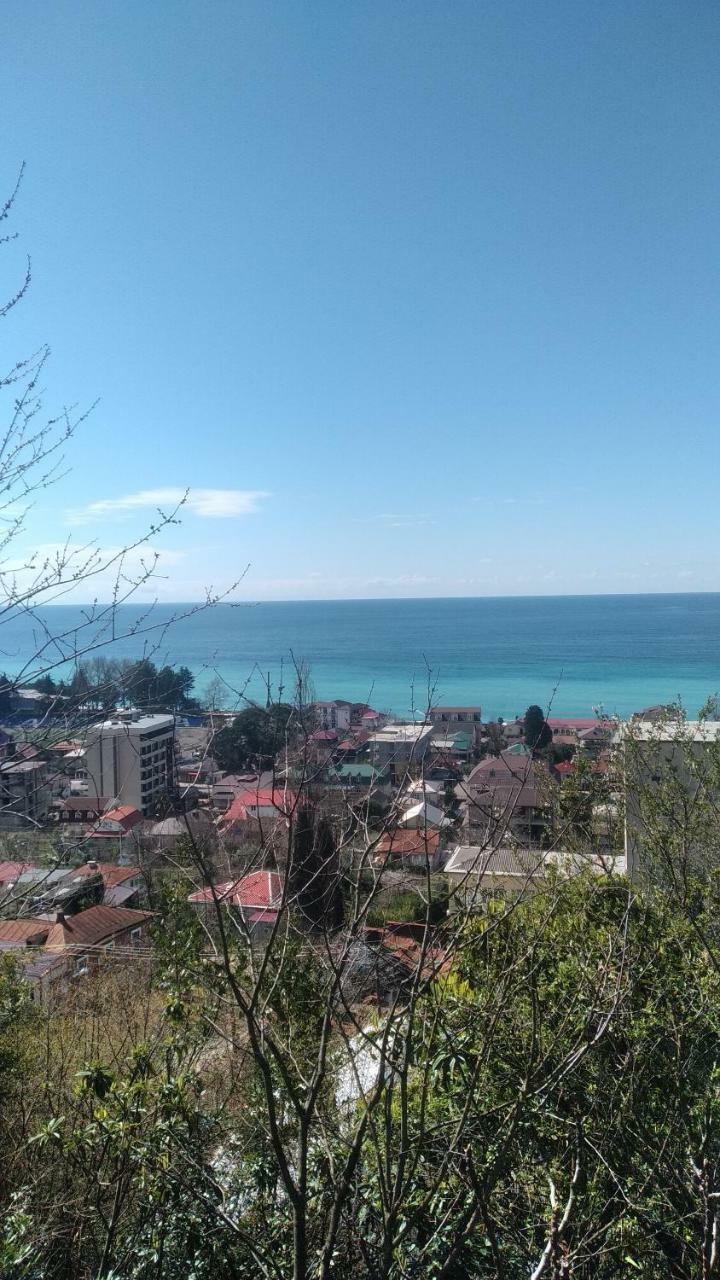 Отдых У Анаиды Gagra Kültér fotó